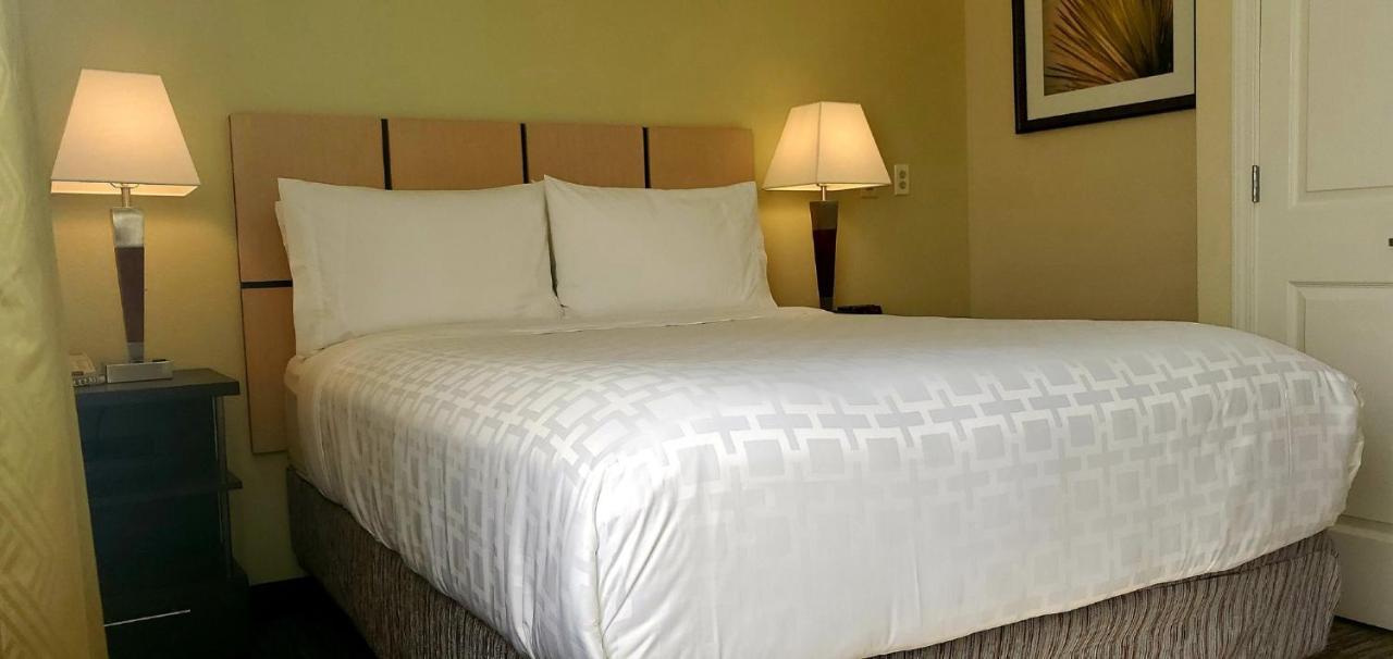 Candlewood Suites Houston Medical Center By Ihg מראה חיצוני תמונה