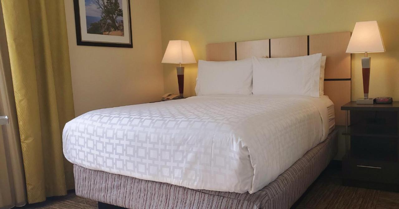 Candlewood Suites Houston Medical Center By Ihg מראה חיצוני תמונה