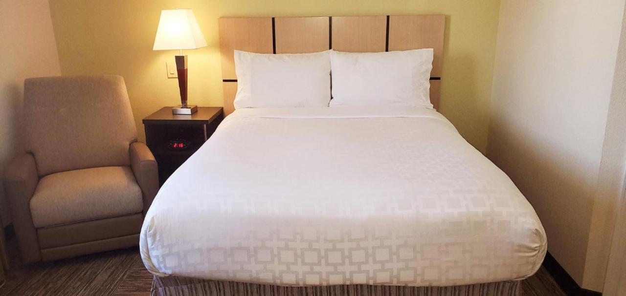 Candlewood Suites Houston Medical Center By Ihg מראה חיצוני תמונה